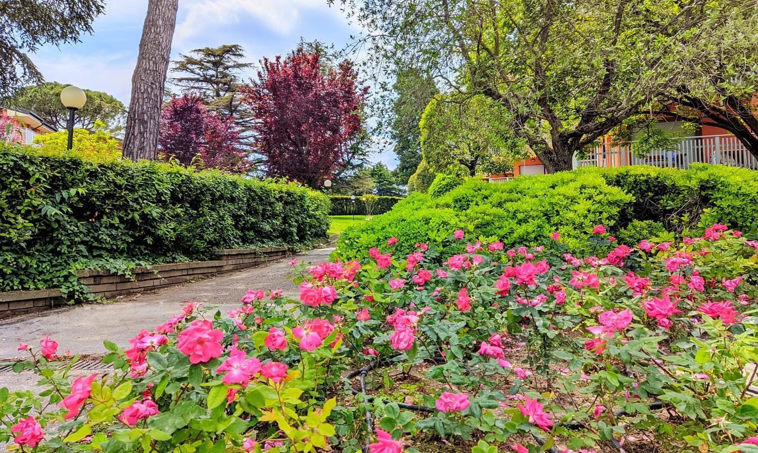 Appartamento Peschiera Песк'єра-дель-Гарда Екстер'єр фото
